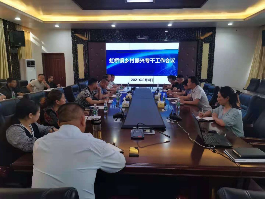 虹桥镇召开六月份乡村振兴专干工作会议