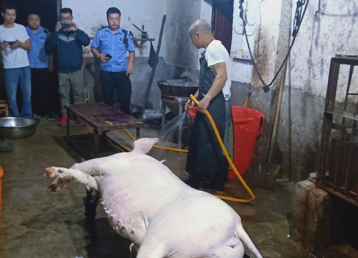 【我为群众办实事】三市镇多部门联合执法整治“白板肉”
