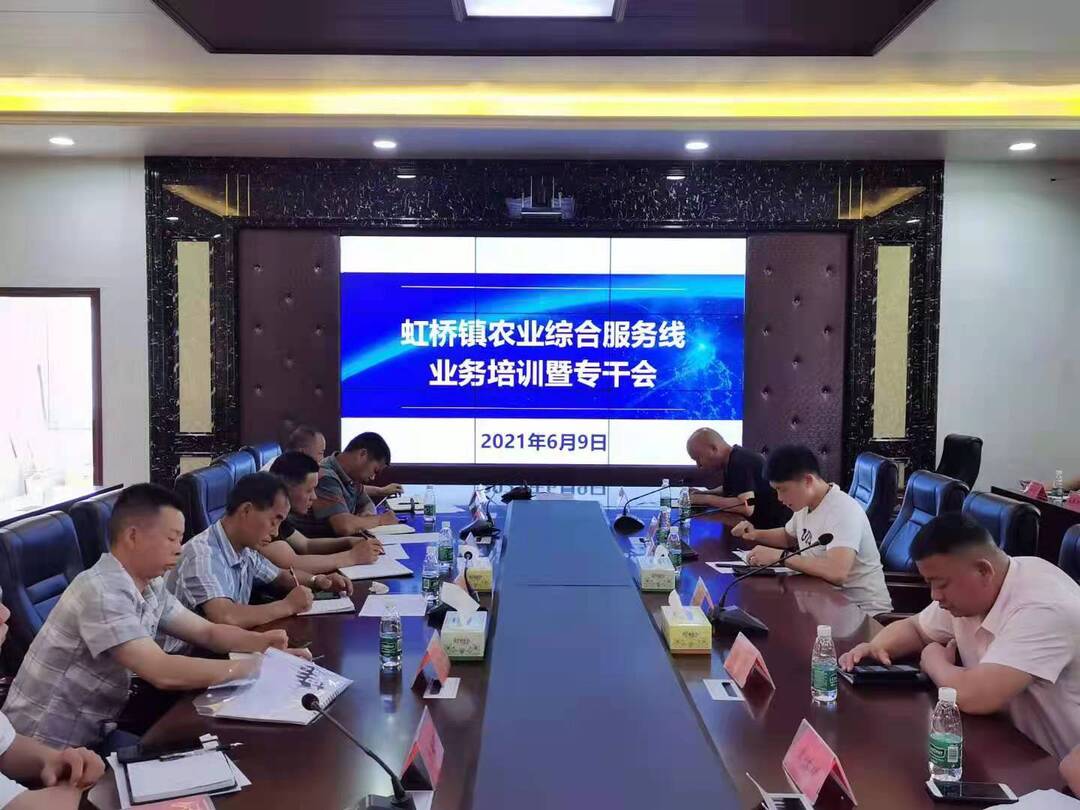 虹桥镇农业综合服务线业务培训暨专干会
