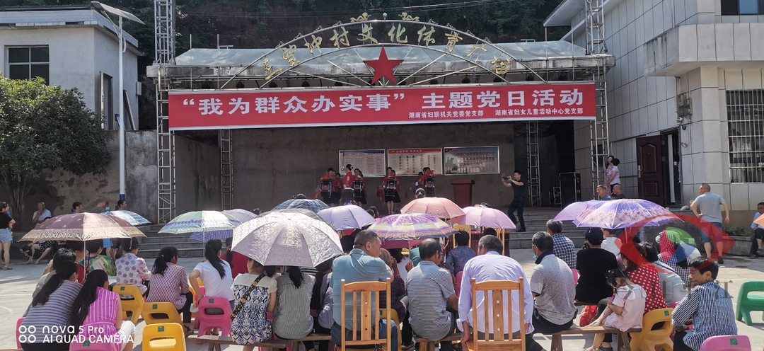 汉昌街道：  省妇联一行到三望冲村开展主题党日活动