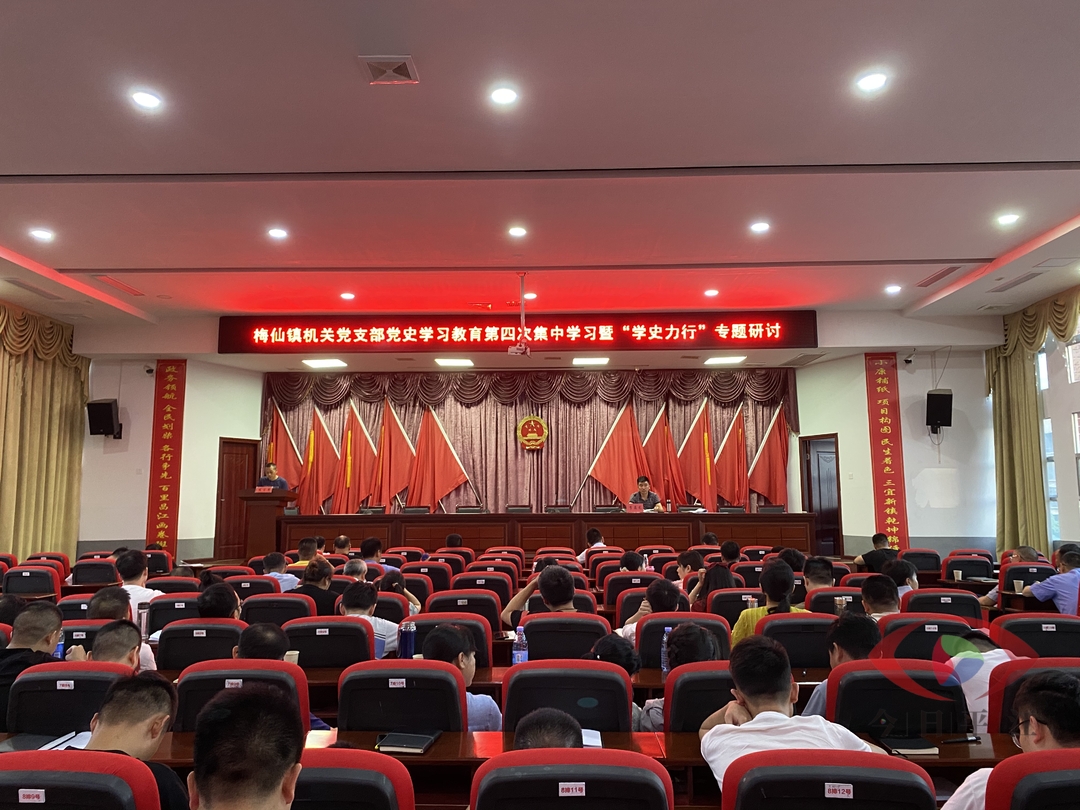 学思践悟守初心 知行合一再奋进 ——梅仙镇机关支部召开党史学习教育第四次集中学习暨“学史力行”专题研讨会