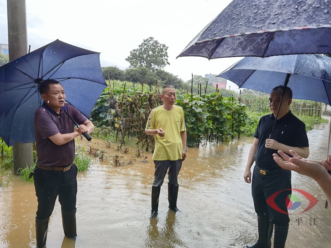 风雨见初心|扛起使命，坚守一线，筑牢防汛“安全墙”！
