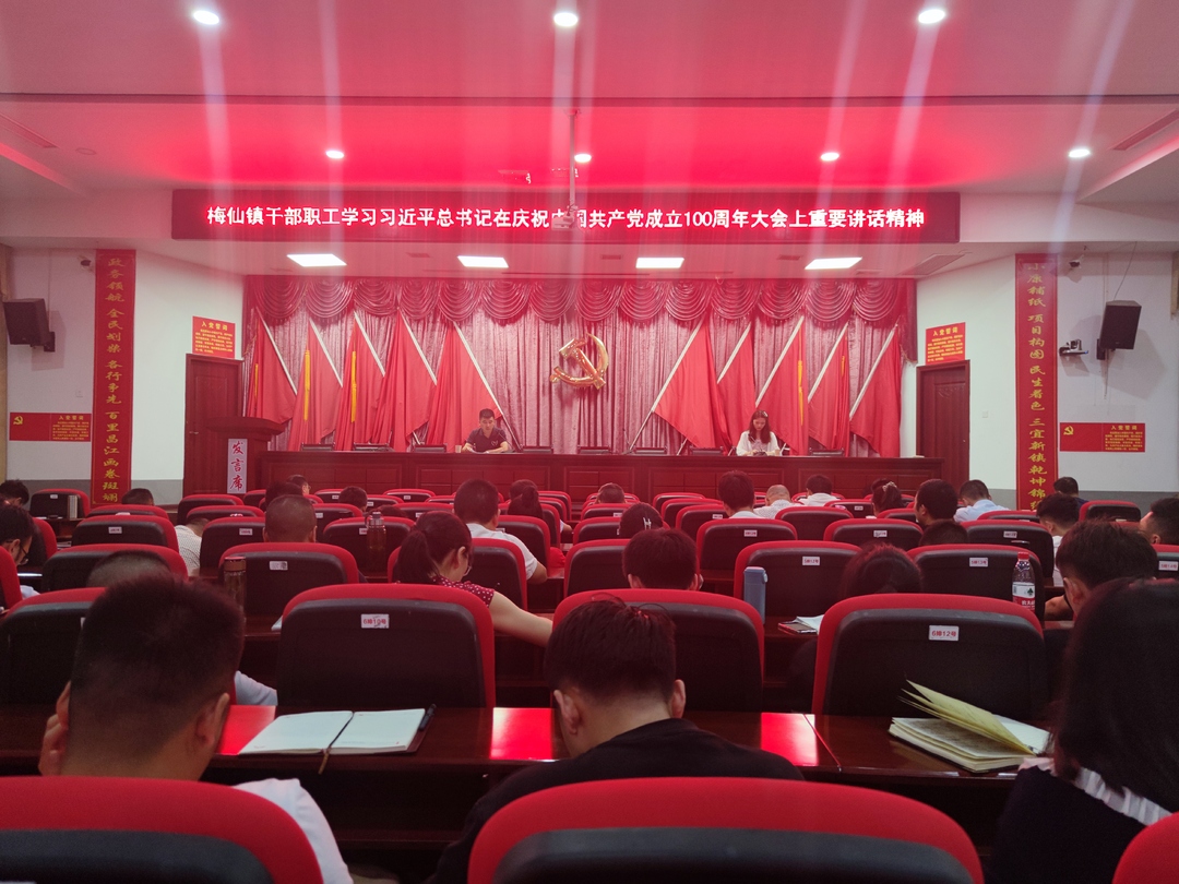 梅仙镇机关支部认真学习贯彻习近平总书记“七一”重要讲话精神