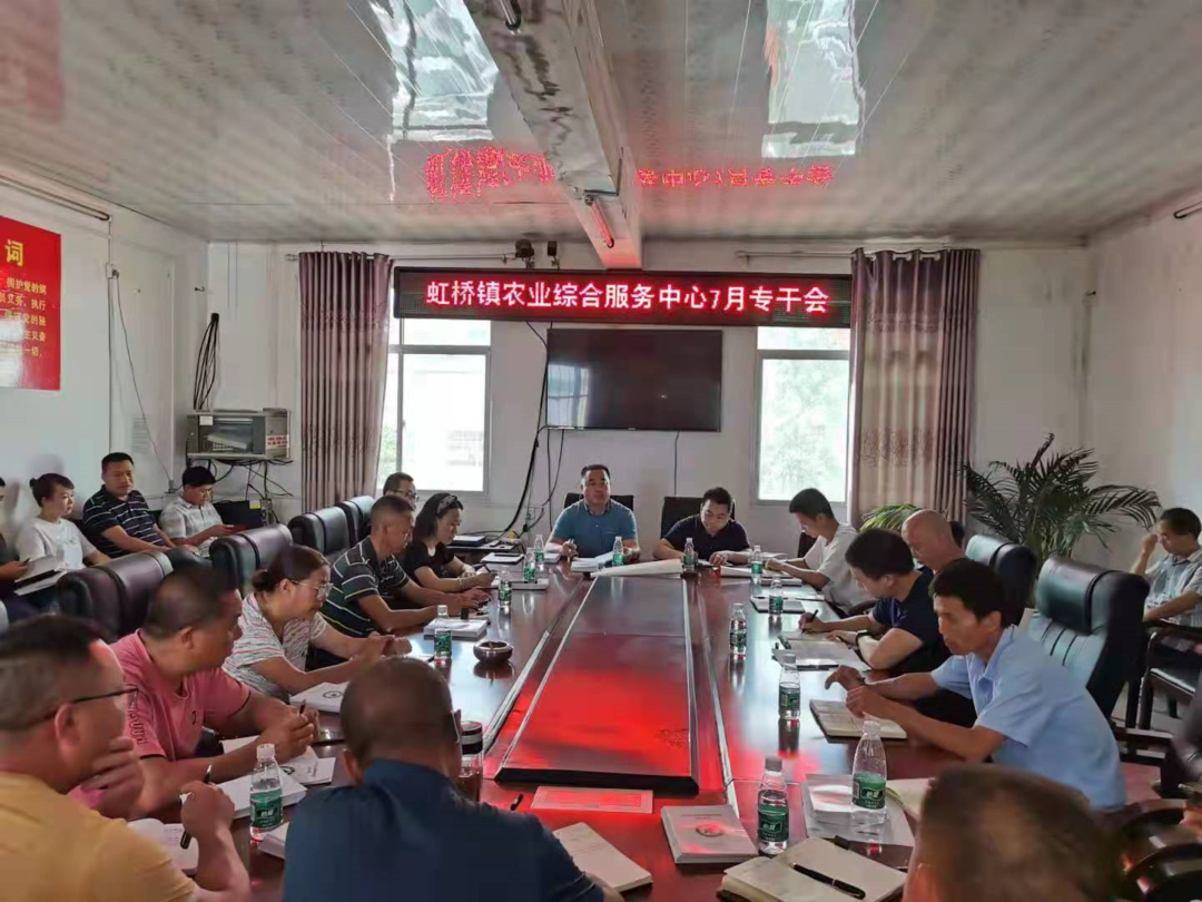 面对面交流，实打实提质——虹桥镇召开农业线工作交流专干会