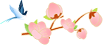 长寿镇：情暖夕阳 为民服务