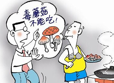 请警惕！山上长了“红伞伞”，你可别去采