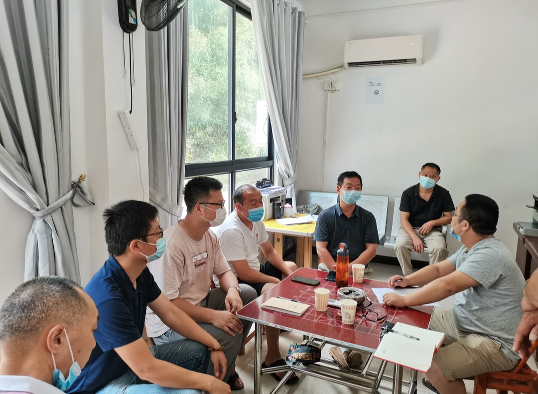 南江镇罗洞村邀请碧桂园到村考察：发展中草药 助力村振兴