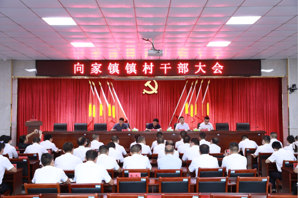 向家镇召开镇村干部大会