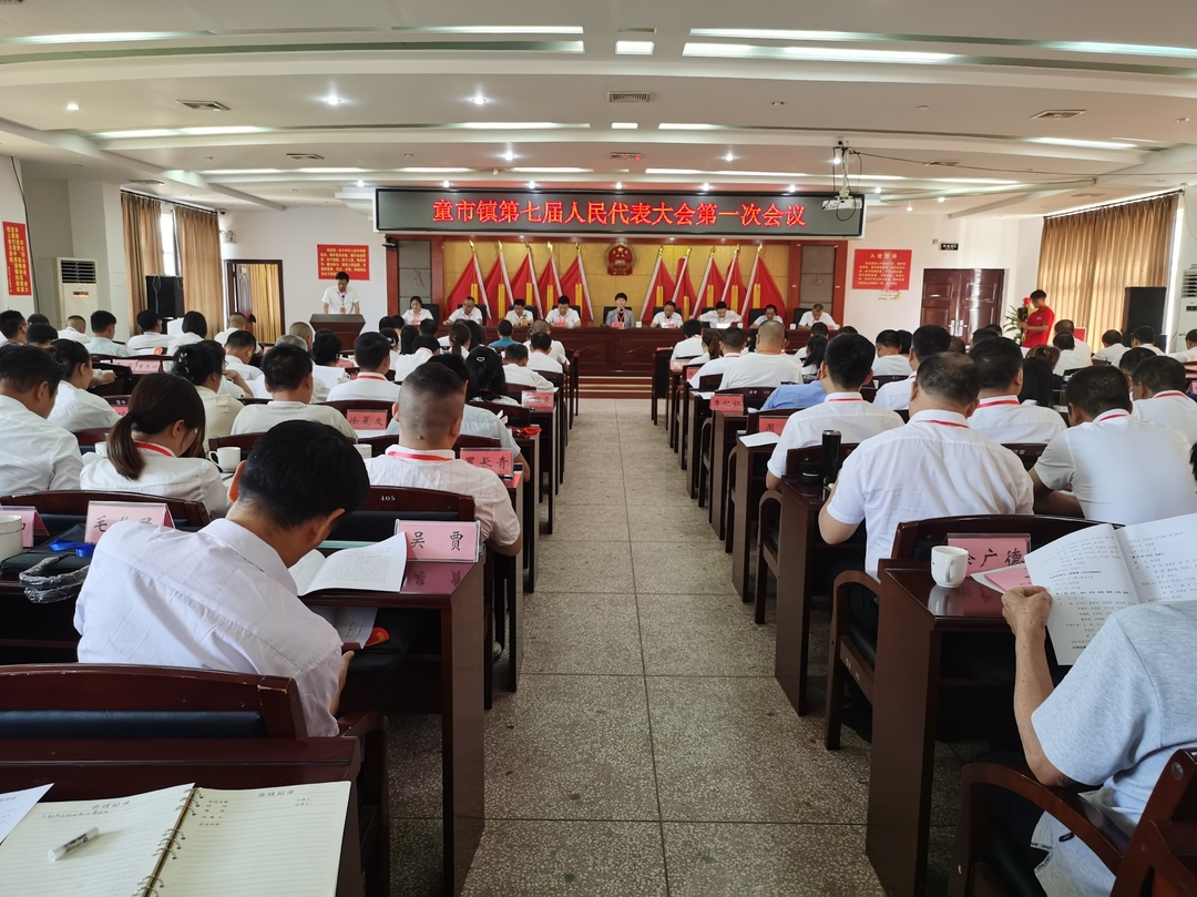一心一意谋发展，同心同德构蓝图——童市镇第七届人民代表大会第一次会议胜利召开！