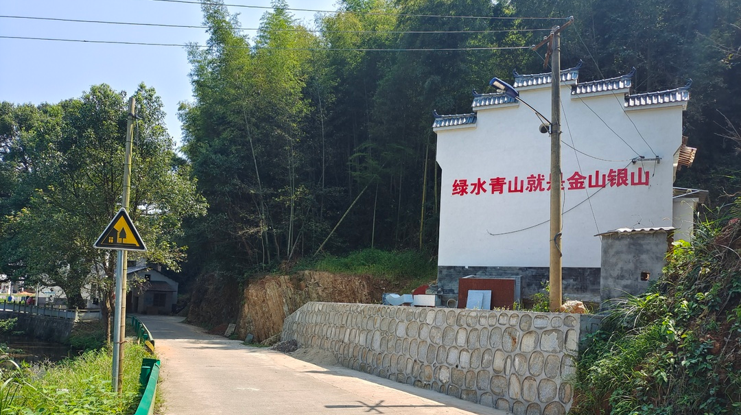 伍市镇大滩村：整治人居环境   推进乡村振兴