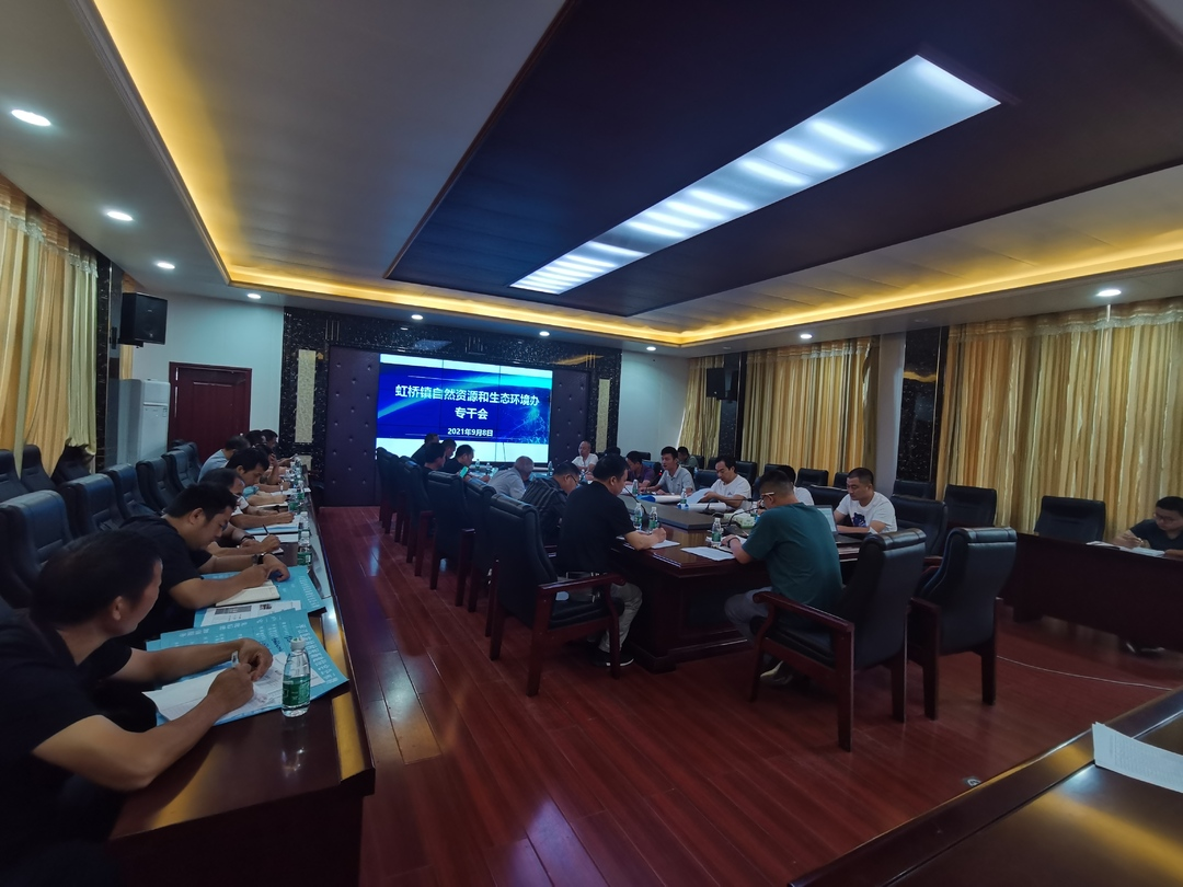 虹桥镇召开自然资源和生态环境线九月份工作部署会