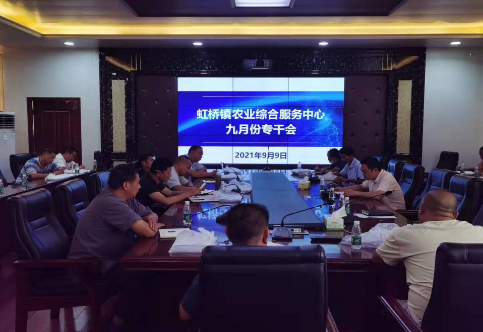 春种一粒粟，秋收万颗子——虹桥镇召开九月份农业线专干会