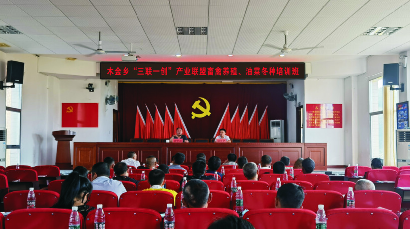 走心又暖心，木金乡“三联一创”见实效