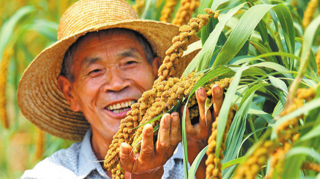 庆丰收，评模范，共建文明幸福新康阜