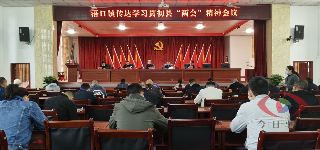 浯口镇：学习传达贯彻落实县“两会”精神