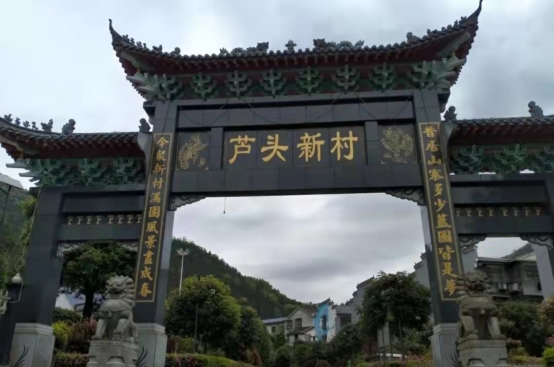 【三联一创】加义镇芦头村：党建引领，擦亮乡村振兴“底色”