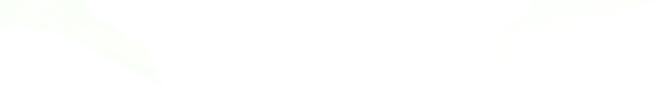 师大颐华送教来，上塔教育再添彩