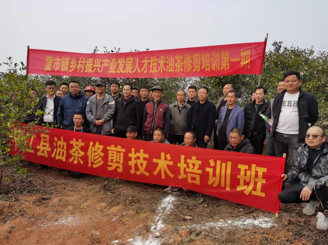 童市镇：授人以渔，送技惠民