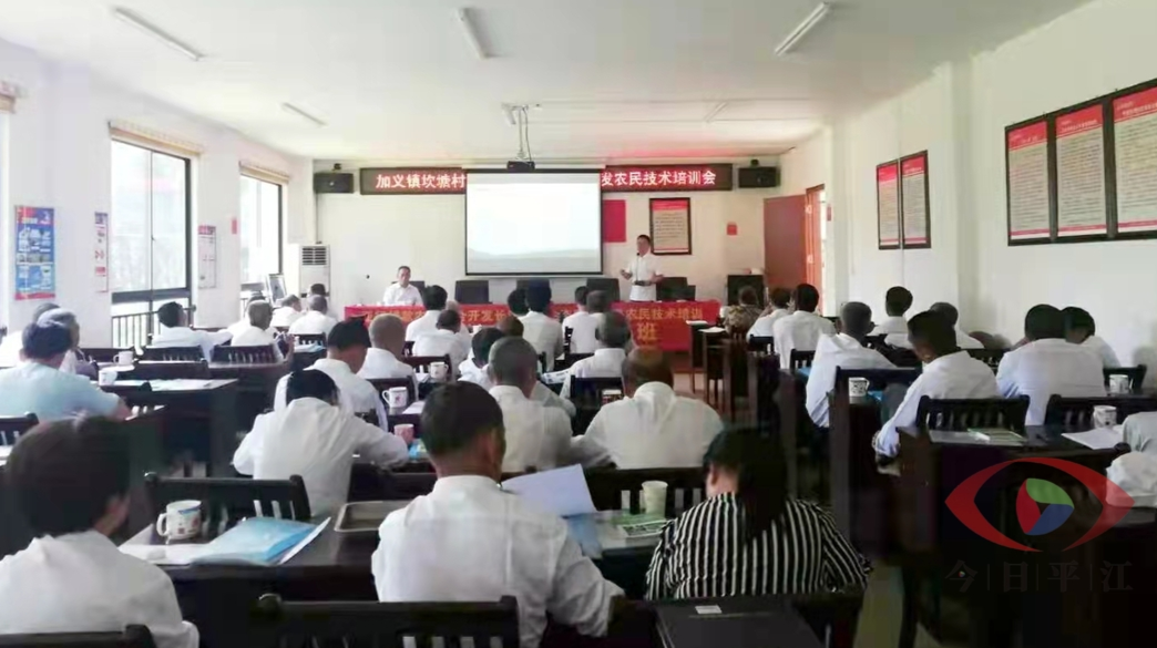【贯彻落实两会精神】加义镇：念好人才“三字诀”，乡村振兴注活力