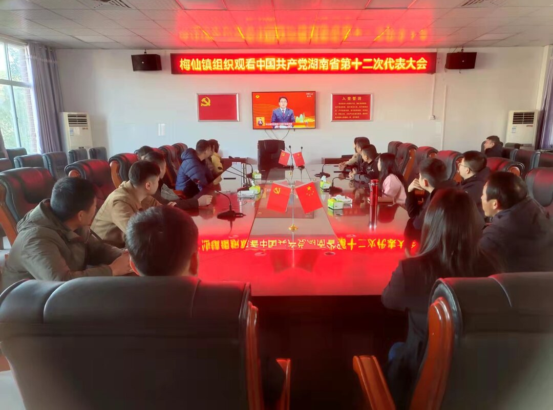 梅仙镇组织观看中国共产党湖南省第十二次代表大会
