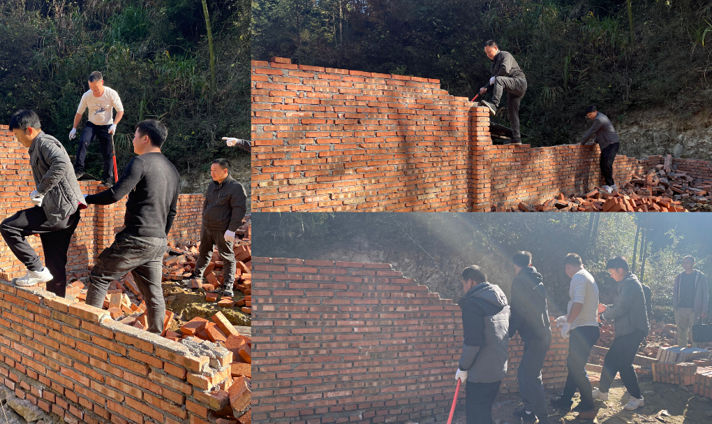 强制拆除！大洲乡对违法占用耕地建筑零容忍