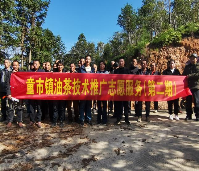童市镇油茶低产林修剪技术培训为产业发展助力