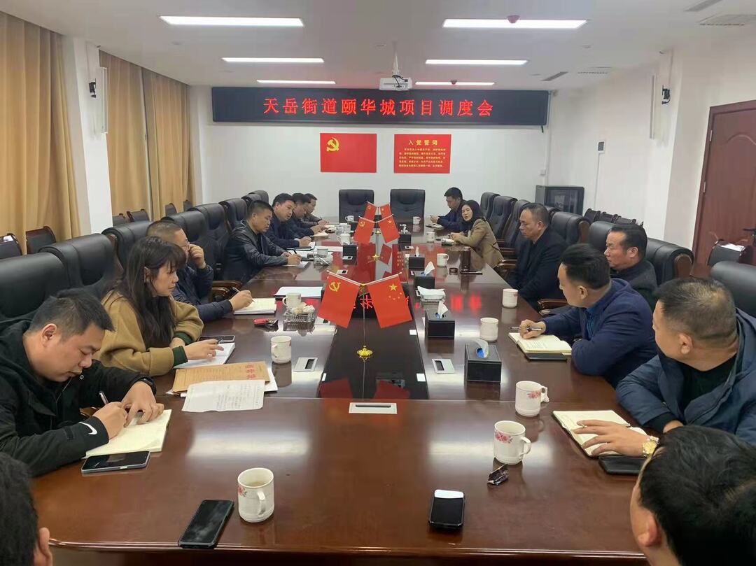 工作调度不松劲，再掀干事新热潮  —天岳街道以最优服务助力重点项目建设