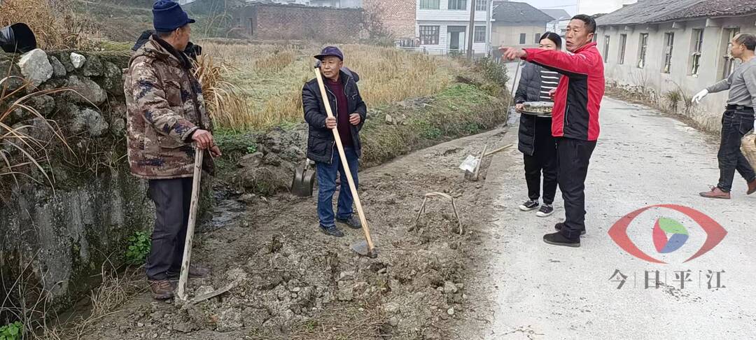 黄裴村：代表带头作表率，村民自筹解民需