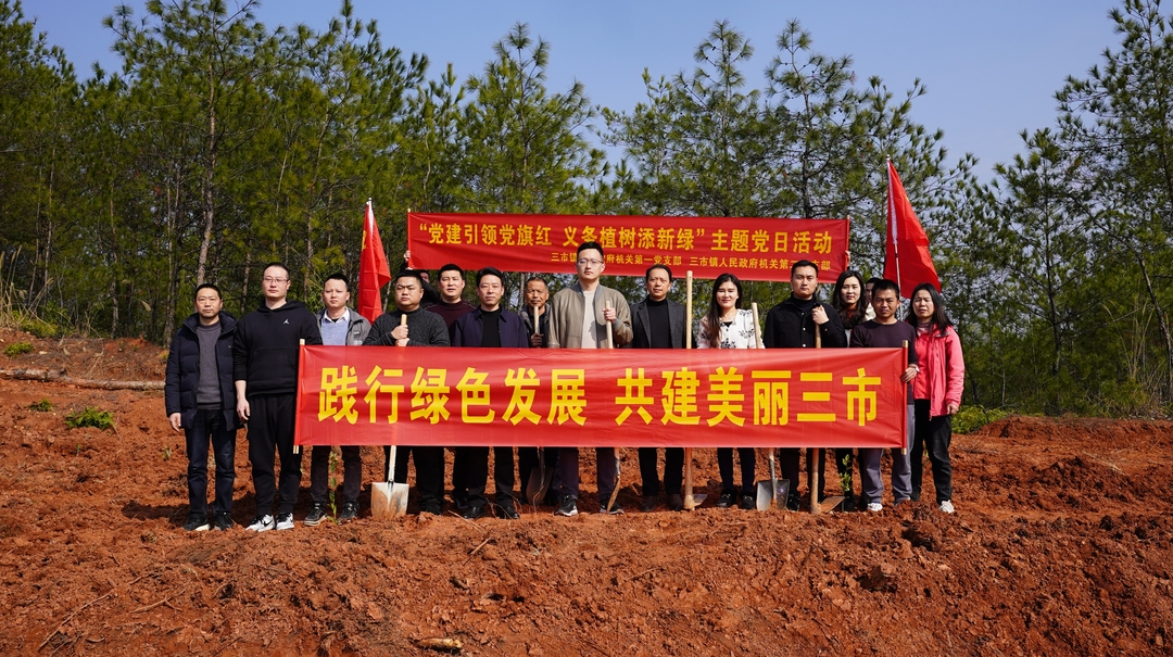 树人并重，林木争荣——三市镇开展义务植树活动