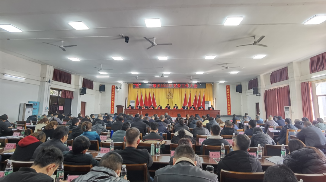 三墩乡：党建领航，四轮齐驱，奋力书写三墩乡村振兴新答卷