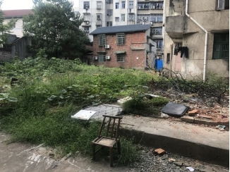 征收地块，已拆除杂草丛生，乱石成堆