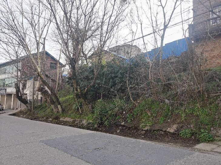 民建北路道路和危墈问题
