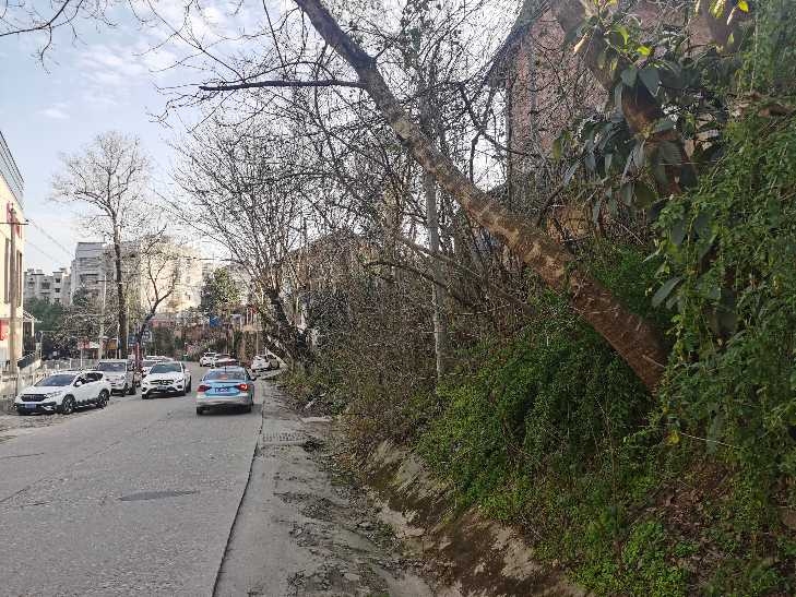 民建北路道路和危墈问题