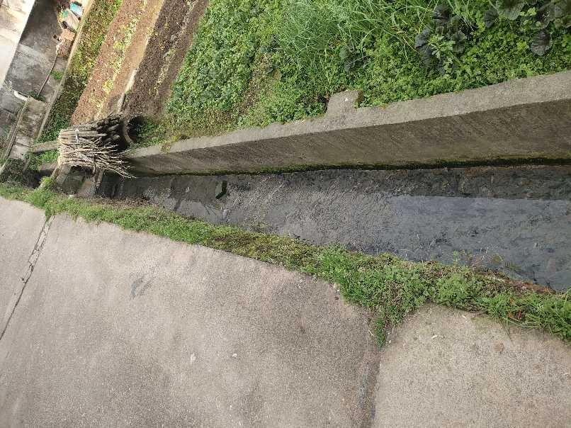 启明学校围墙背黑臭水沟
