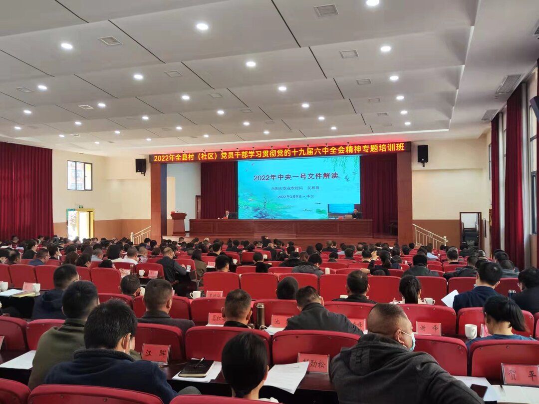 大培训聚合力   齐讨论谋发展 —天岳街道开展学习贯彻党的十九届六中全会精神系列活动