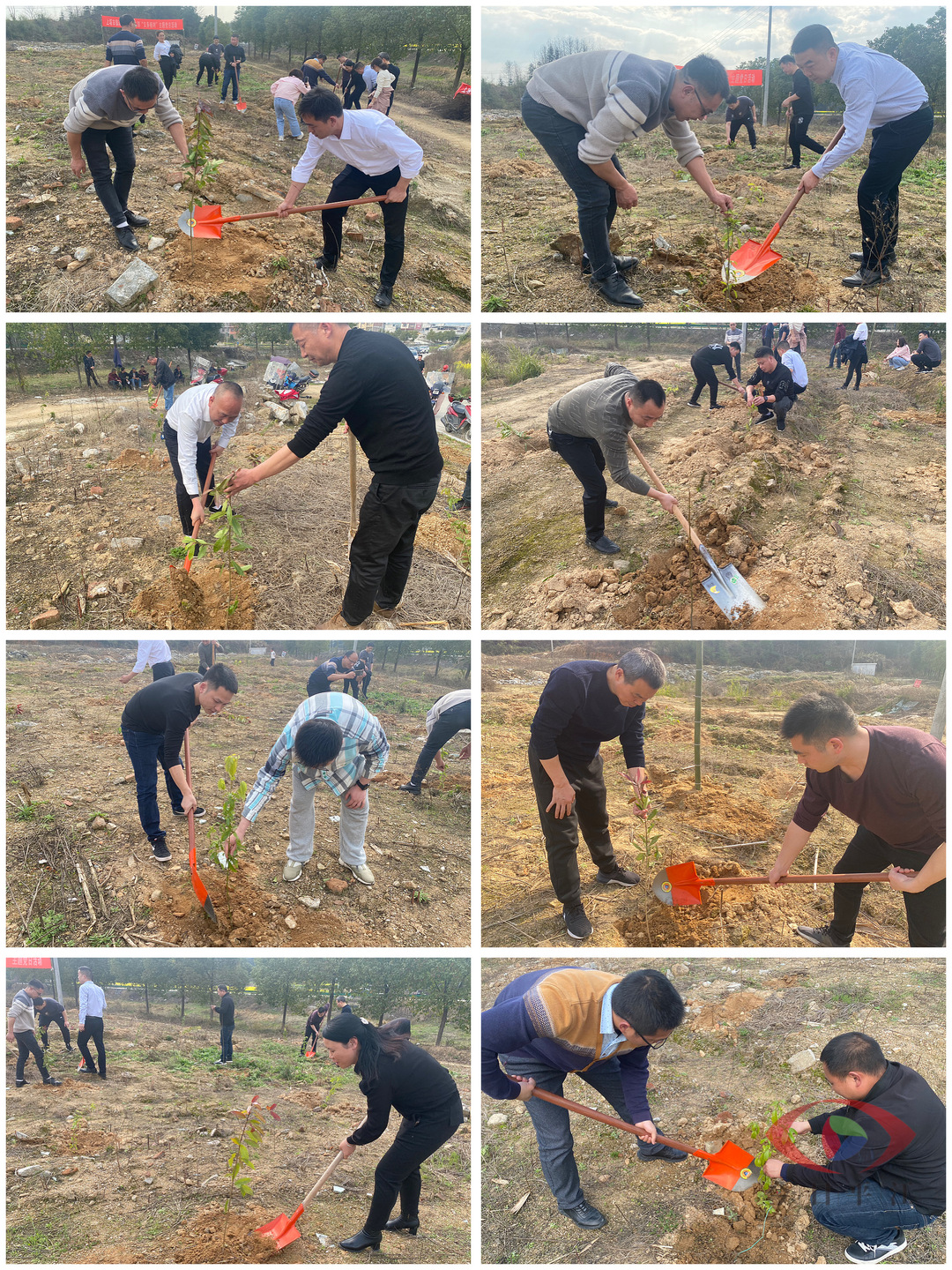 上塔市镇：植树添绿正当时
