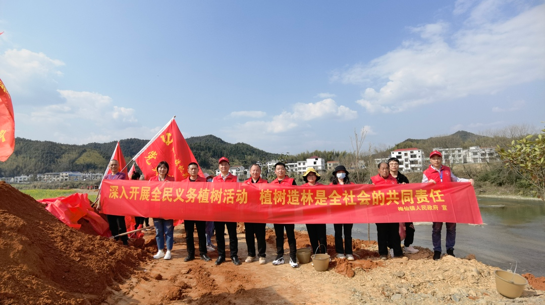 不负三月春光，新植一身葱绿——梅仙镇开展“3·12”党群义务植树活动