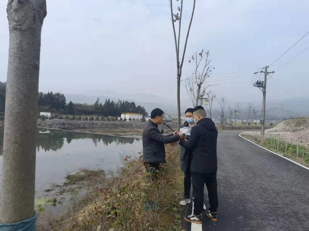 可视钓鱼 破坏生态——执法大队依法出击查处两例