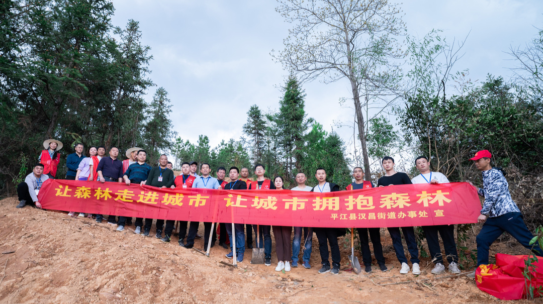 汉昌街道：吹响“绿色集结号” 开展义务植树活动