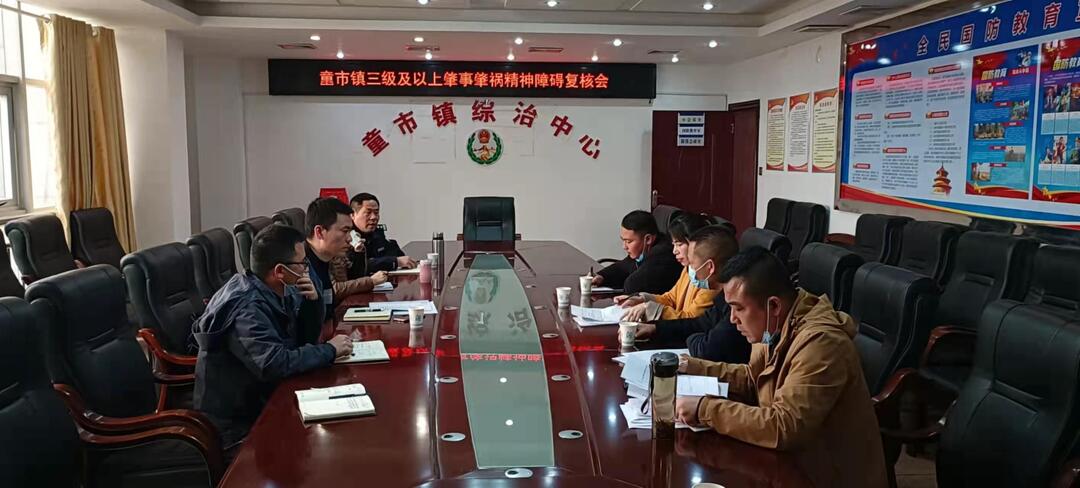童市镇开展肇事肇祸精神障碍患者复核工作