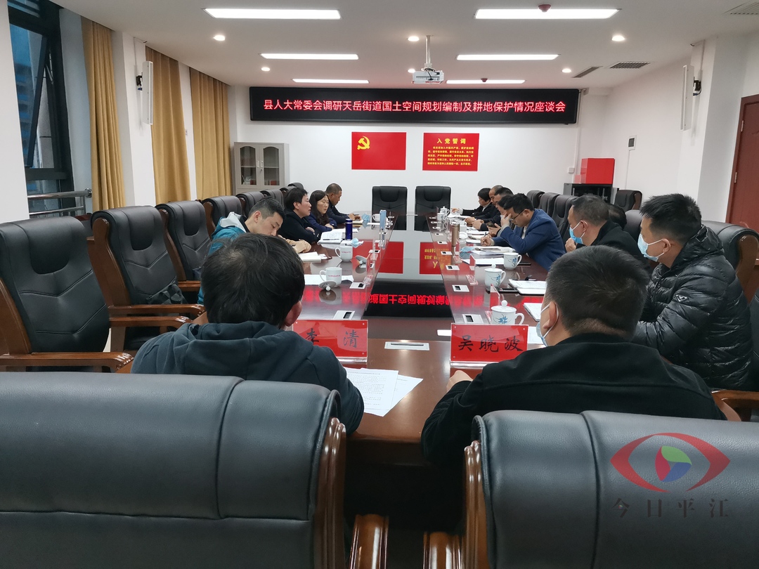 县人大常委会到天岳街道调研国土空间 规划编制及耕地保护工作