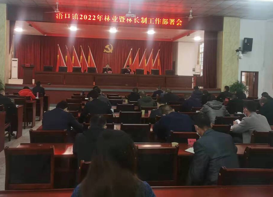 浯口镇:全面推行林长制，筑牢绿水青山底色