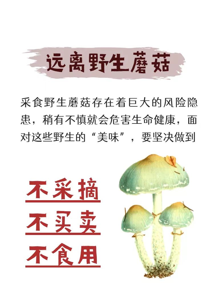 【警惕】食用野生毒蘑菇可致命！勿采勿买勿食！