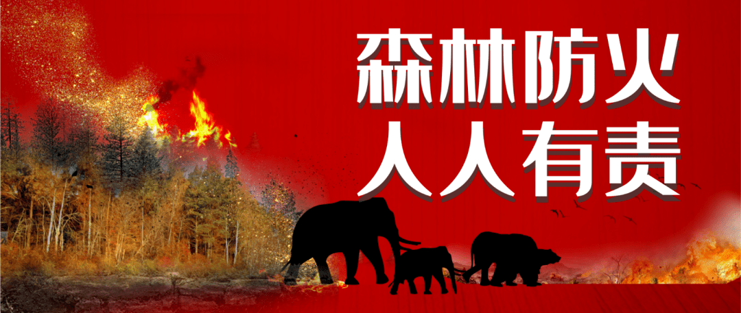 防患于未“燃”！余坪镇联合应急管理局开展森林防灭火应急演练