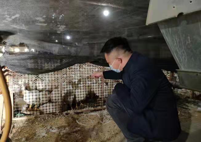 浯口镇:亮身份 亮承诺 民生服务展现党员新担当