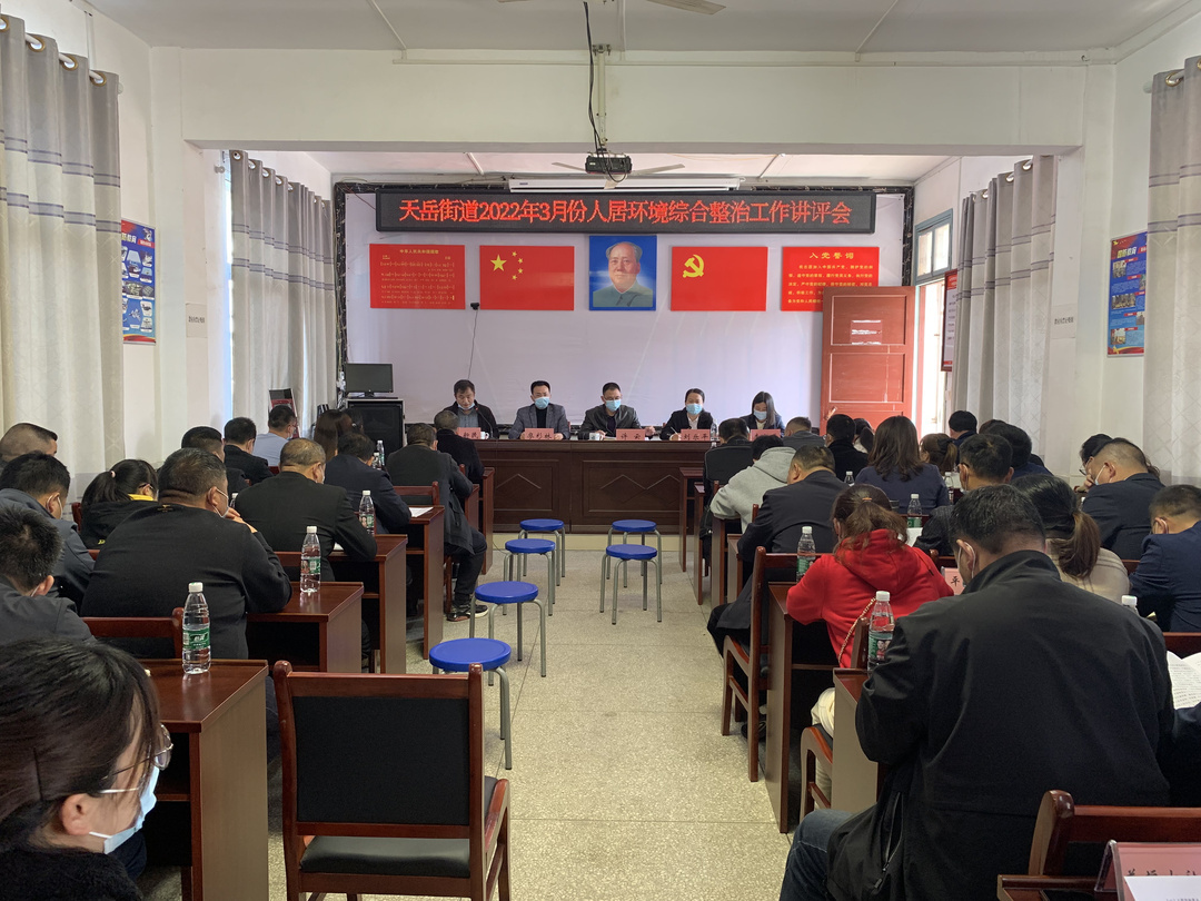 天岳街道召开3月人居环境整治工作讲评暨当前重点工作推进会