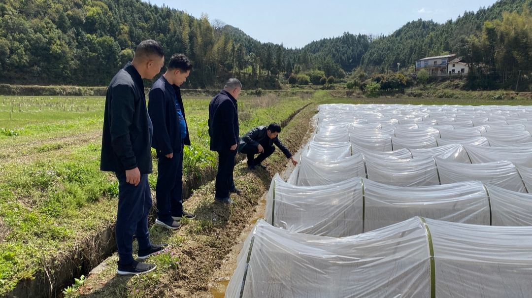 余坪镇：全力推进促春耕，力争粮食生产新突破