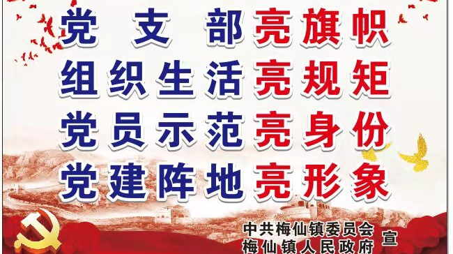 梅仙镇:“四亮” 让党员名片在担当实干中闪光