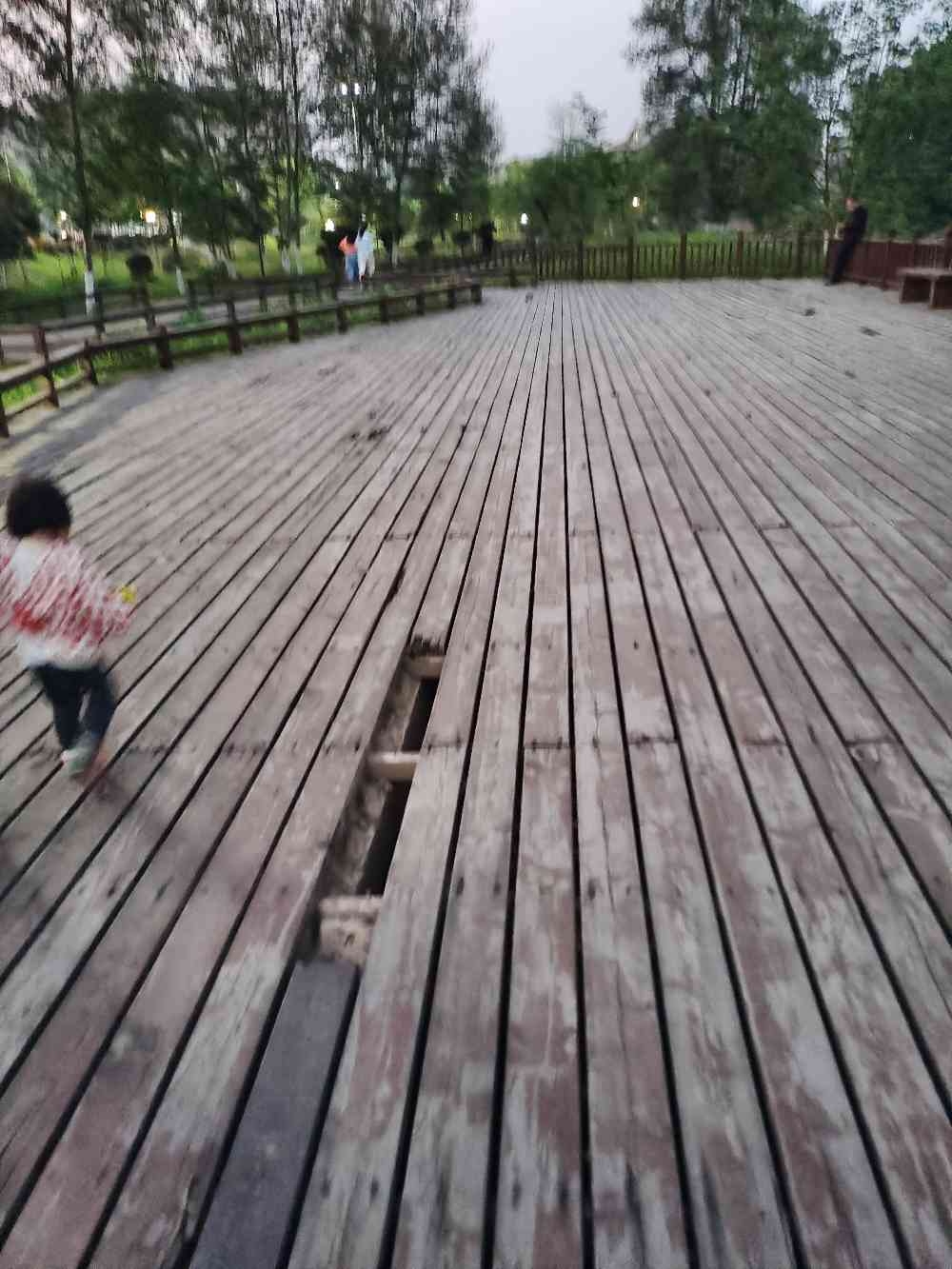 长寿镇郑段河边景观木桥破损严重