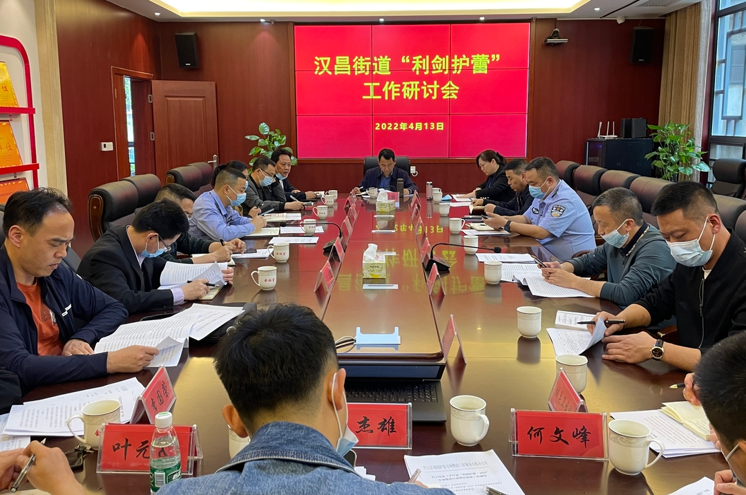 汉昌街道：召开“利剑护蕾·2022”专项整治工作研讨会